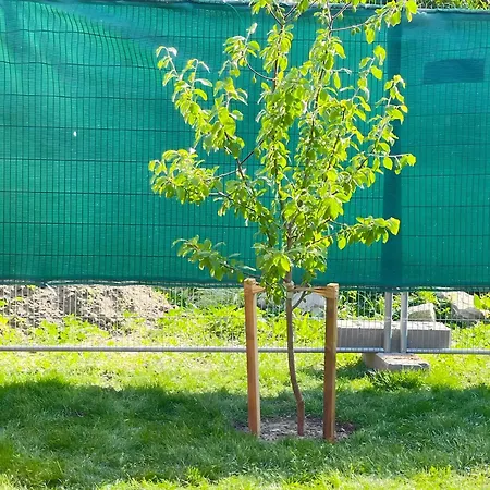 Ferienhaus Klitzeklein *